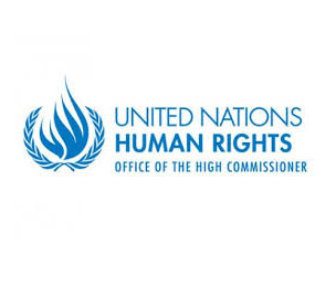 The Office of the United Nations High Commissioner for Human Rights (OHCHR)
